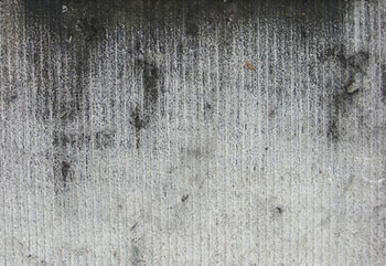 Filter Replacement Near Saratoga Hills | Air Duct Cleaning Agoura Hills Filter Replacement Near Saratoga Hills | Air Duct Cleaning Agoura Hills
